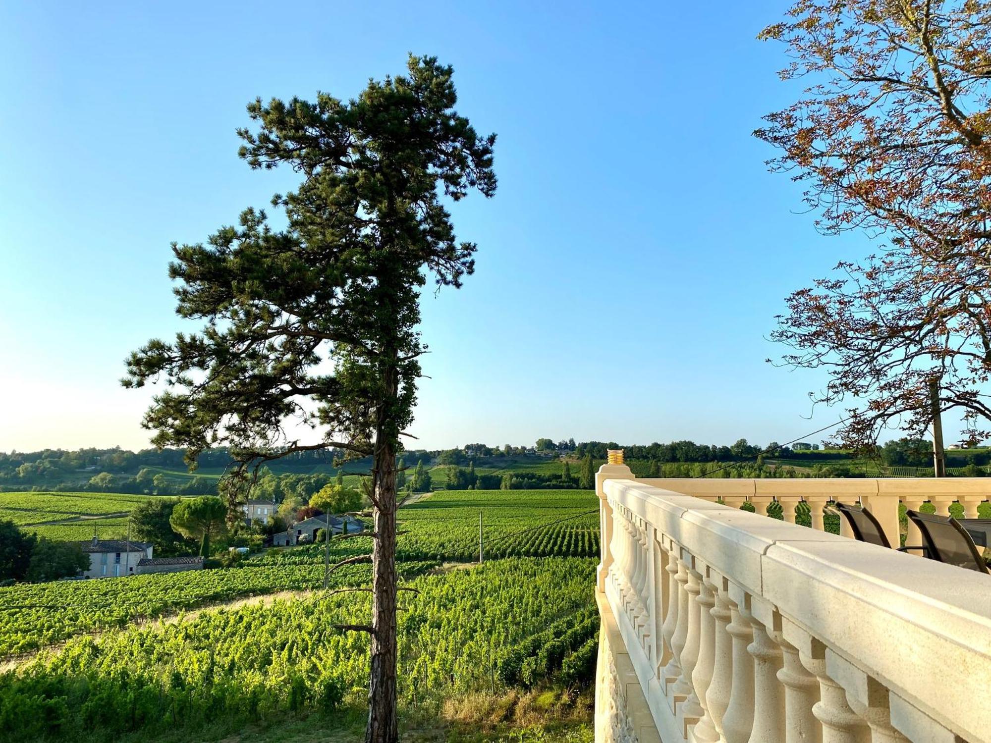 La Reserve Du Chateau De Roques Puisseguin Bagian luar foto